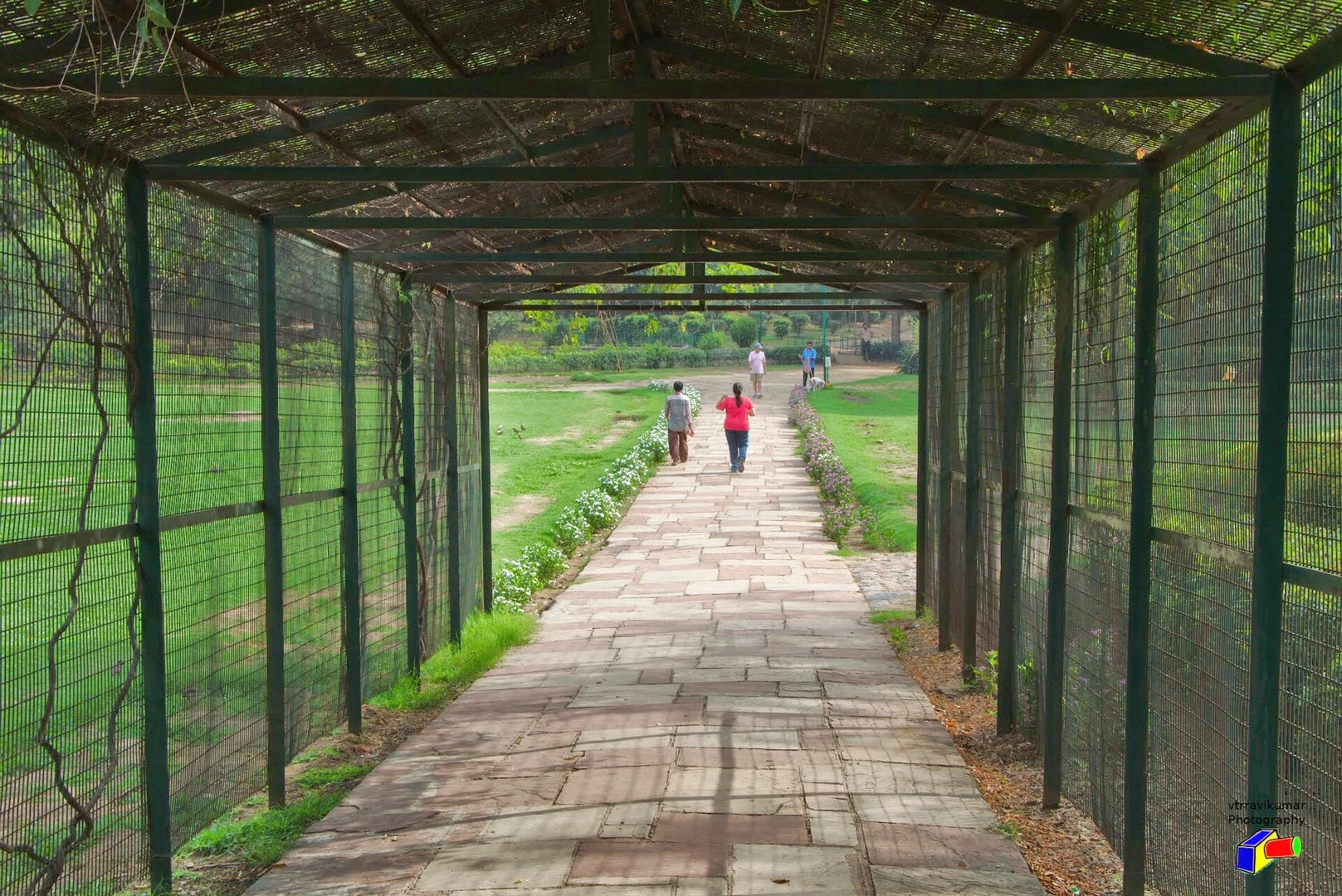 लोधी गार्डन में सुबह चलते लोग
